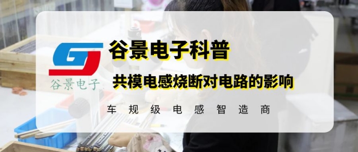 蘇州谷景電子有限公司 1